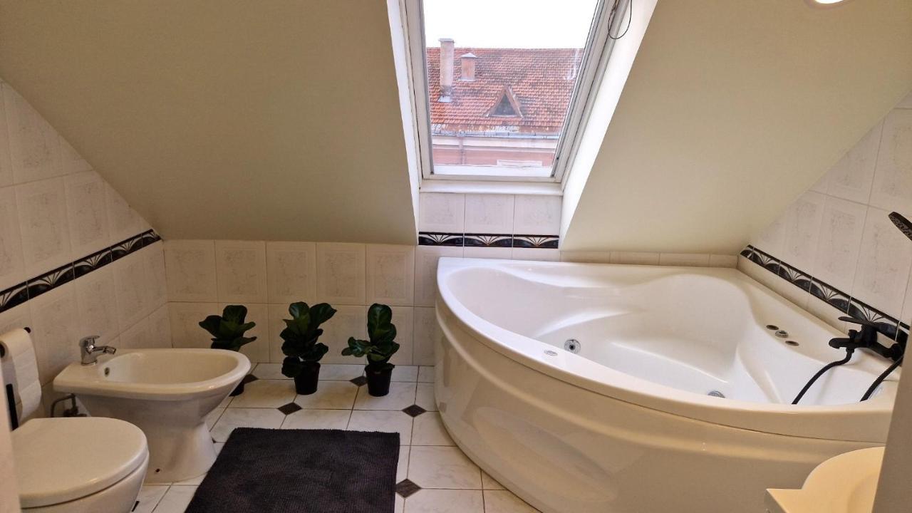 Tyzenxl Luxury Vilnius Apartments المظهر الخارجي الصورة